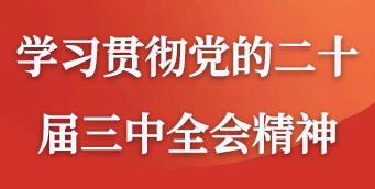 学习贯彻党的二十届三中全会精神